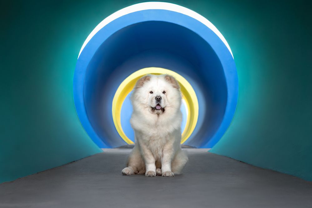 Photograph by Leticia Hernandez