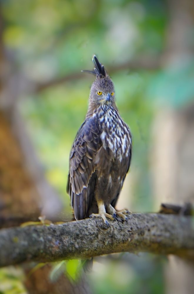 Photograph by Debarshi B