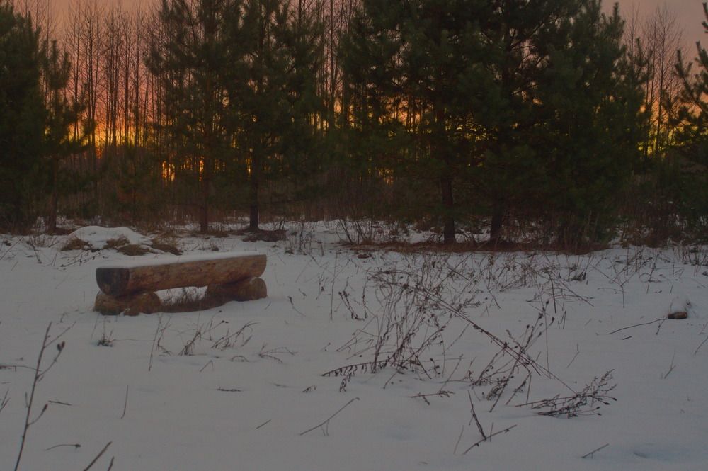 Photograph by Дмитрий Павлов