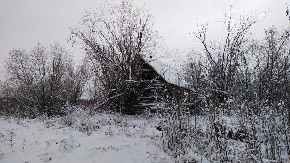 Photograph by Елена Халыева