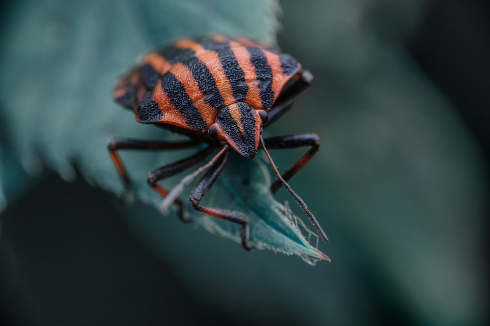 Photograph by Ширяев Константин