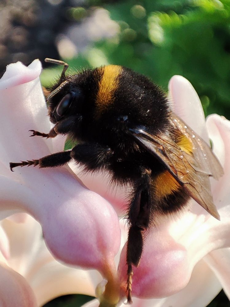 Photograph by Людмила Кузнецова