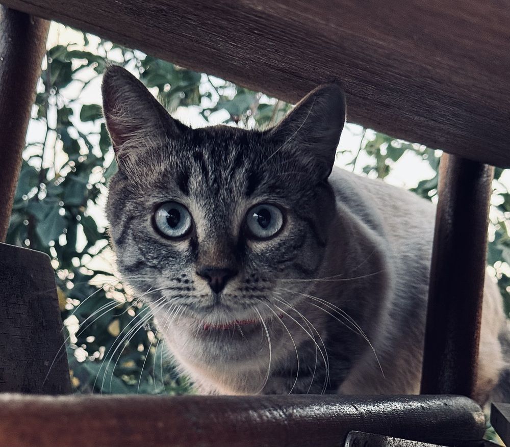 Photograph by Арина Бурда