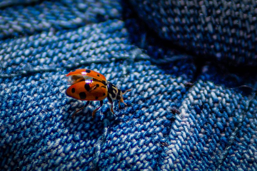 Photograph by Ольга Ильина