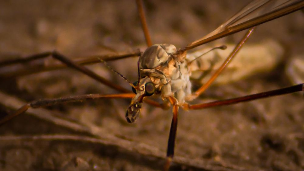 Photograph by Ольга Ильина