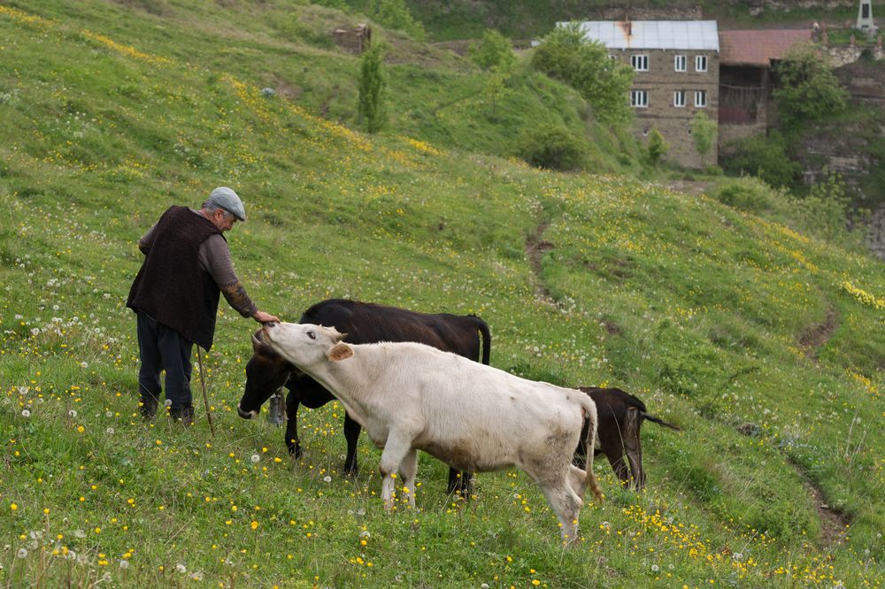 Photograph by Сергей Козлов
