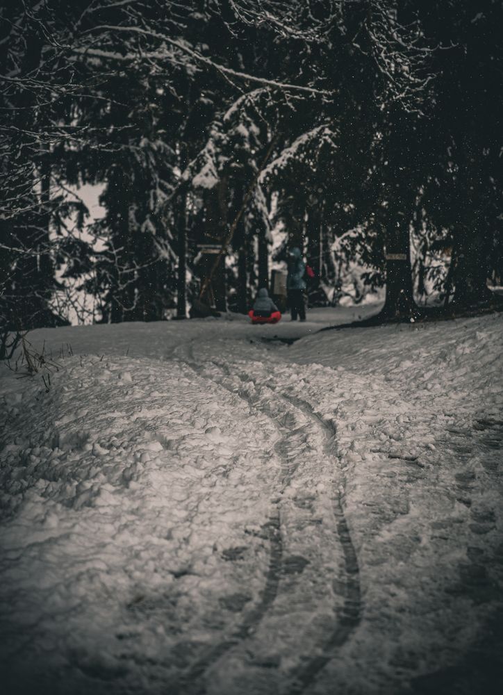 Фотография автора Dr_Plat