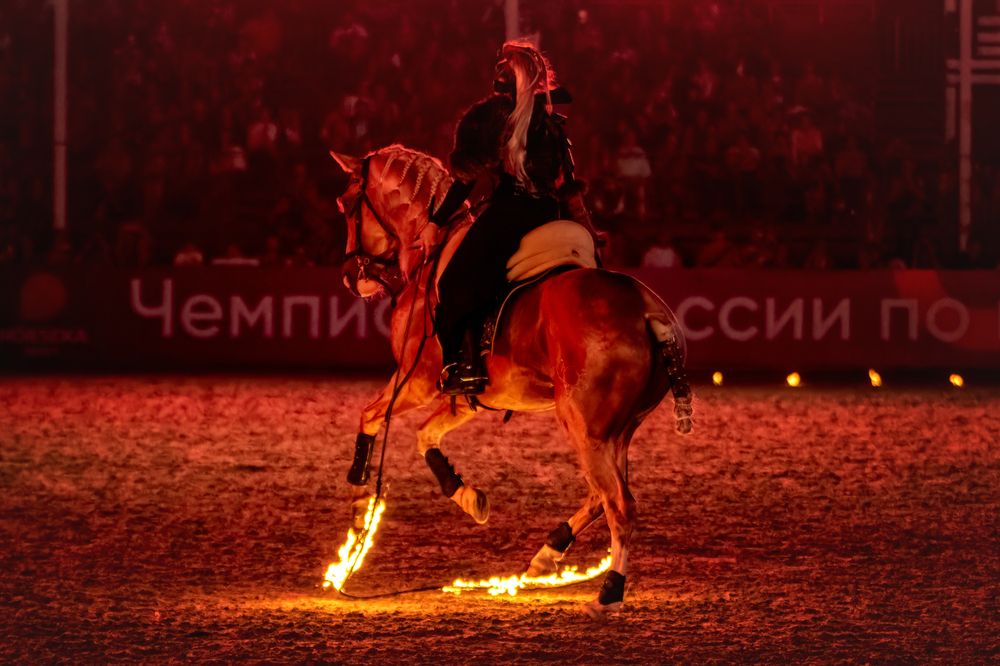 Photograph by Зубкова Юлия