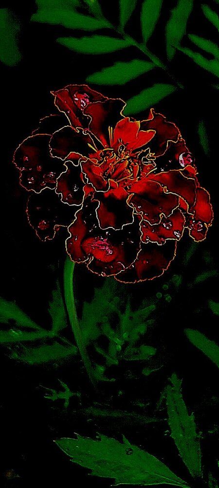 Photograph by Татьяна Солтан