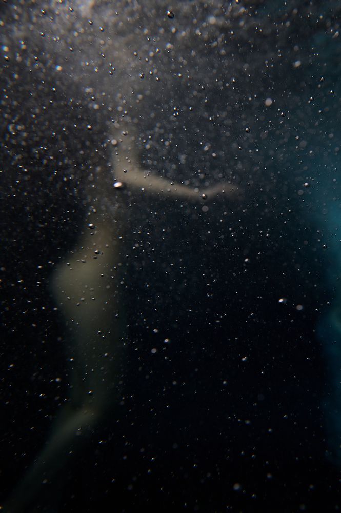 Photograph by Евгений Карпов