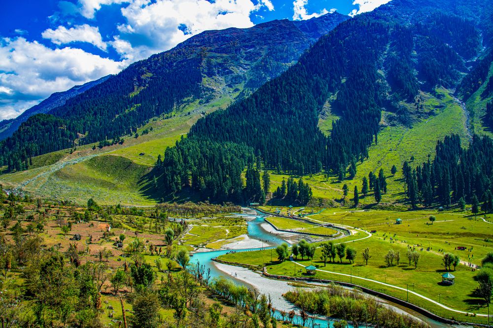 Photograph by Dr Manoj M Kumar