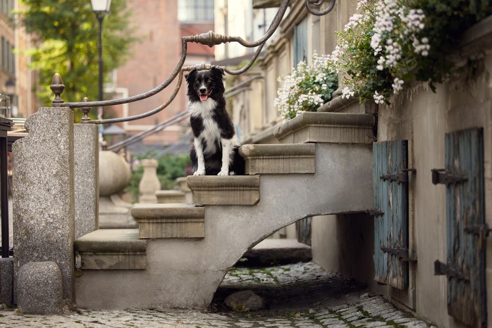 Photograph by Monika Maciejewska