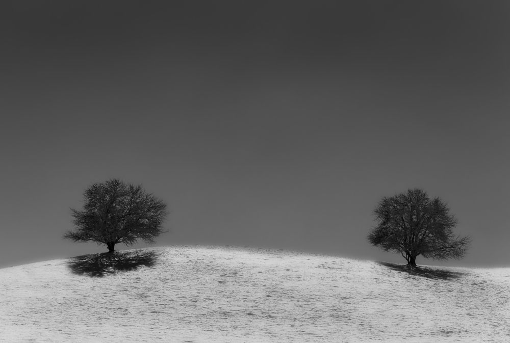 Photograph by Alexander Ornatskiy