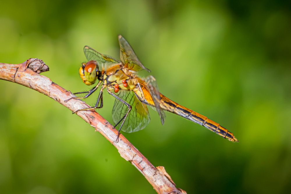 Photograph by Ольга Ильина