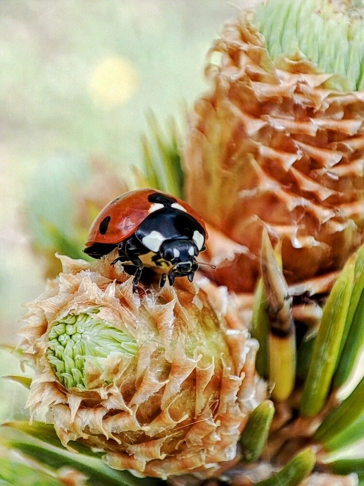 Photograph by Людмила Кузнецова