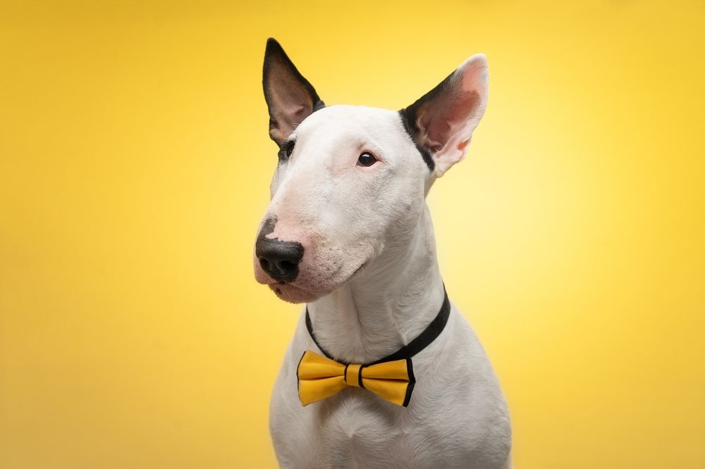 Photograph by Андрианова Ирина