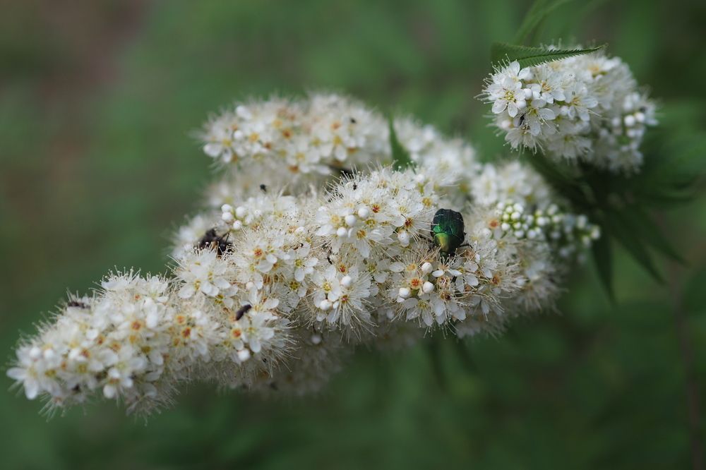 Photograph by Анастасия Жевагина