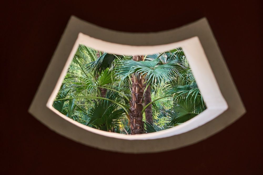 Photograph by Дмитрий Солодухин