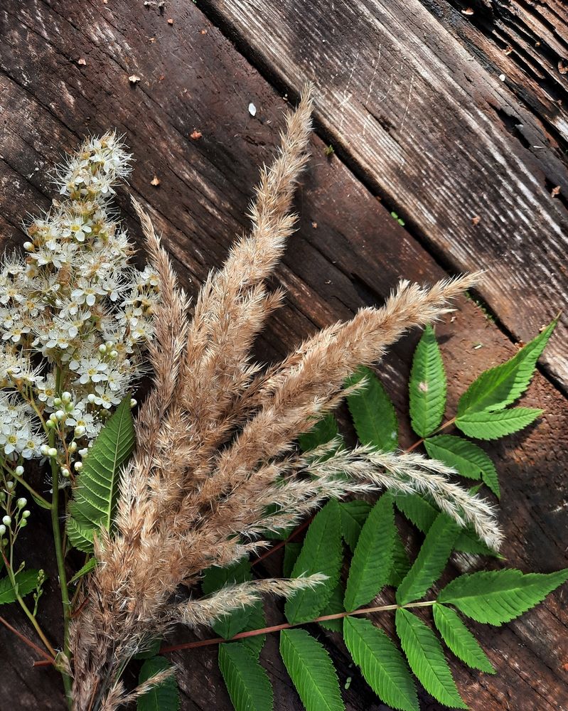 Photograph by Ирина Заворуева