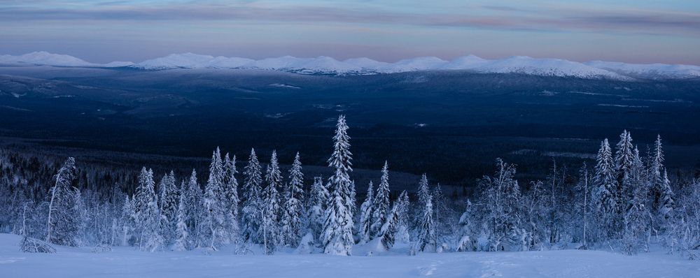 Photograph by Антон Селезнев