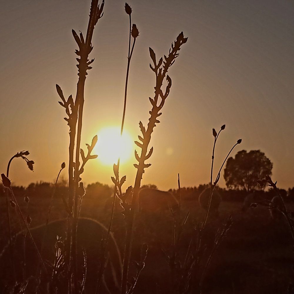 Photograph by othmen falhi
