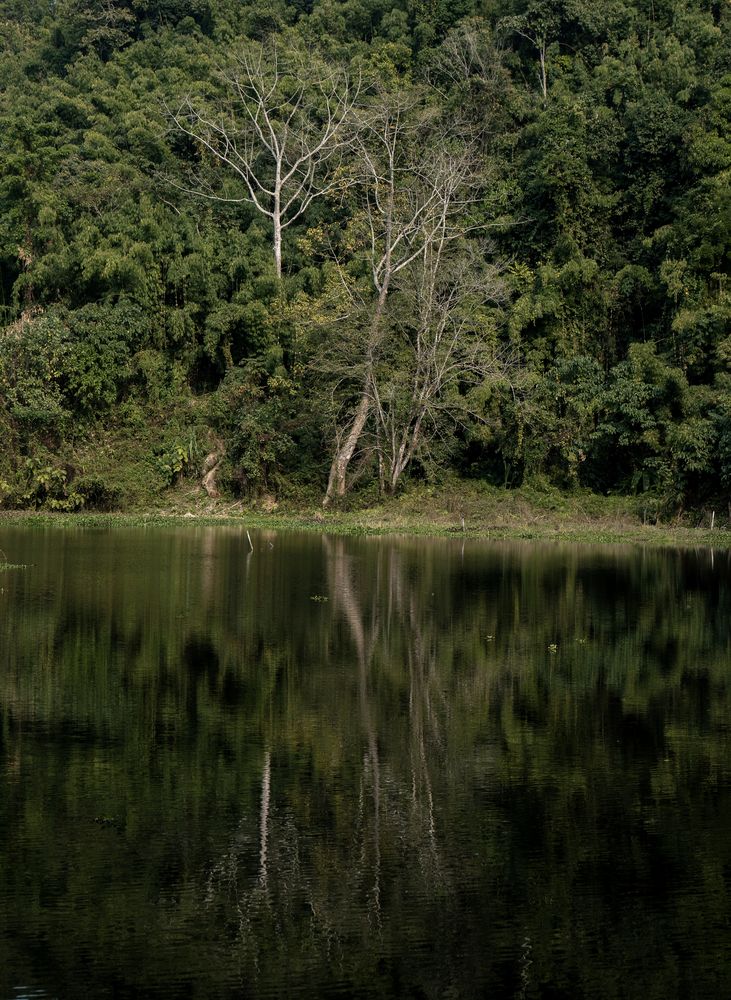 Photograph by Vl Peka Zofa
