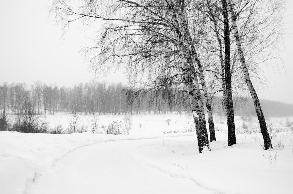Photograph by Геннадий Комаричев