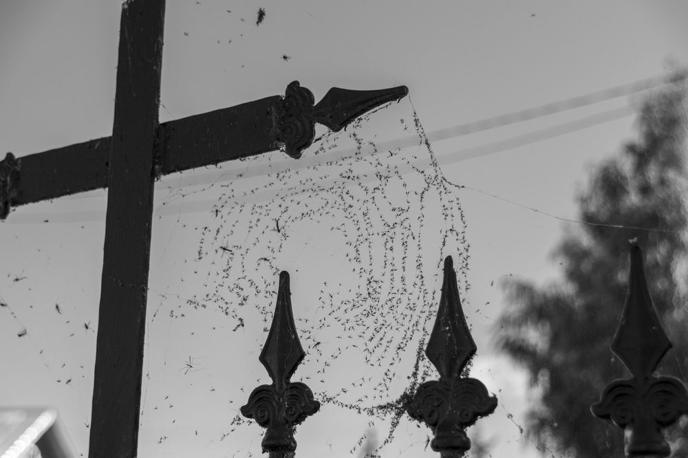 Photograph by Лилия Кондратьева