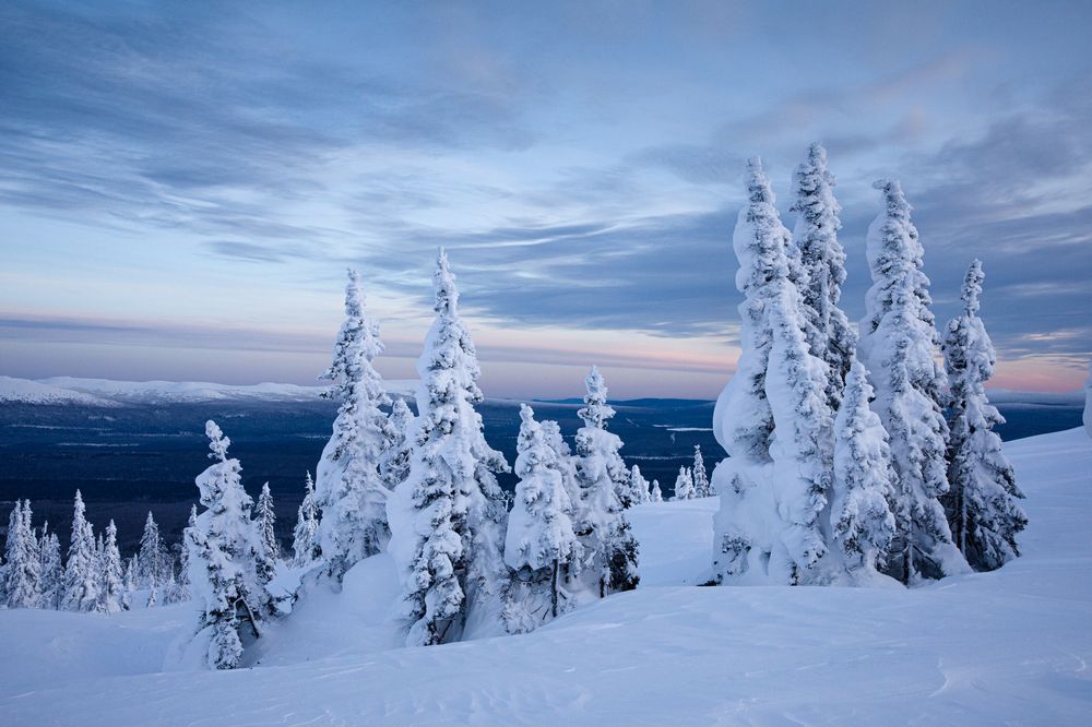 Photograph by Антон Селезнев