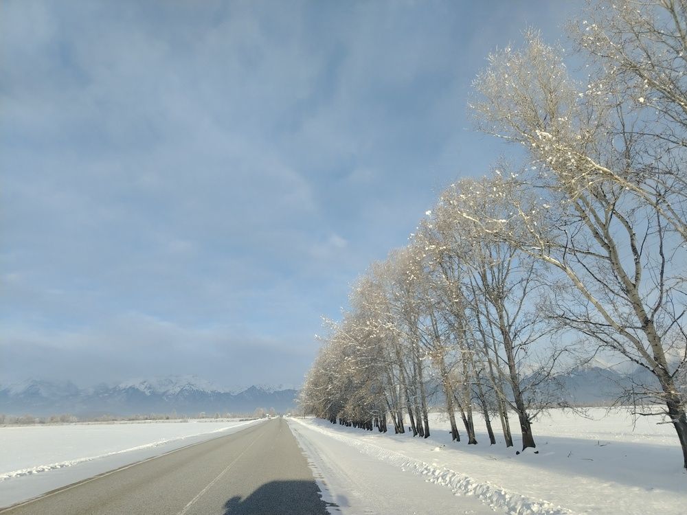 Фотография автора Любовь Чечешкина