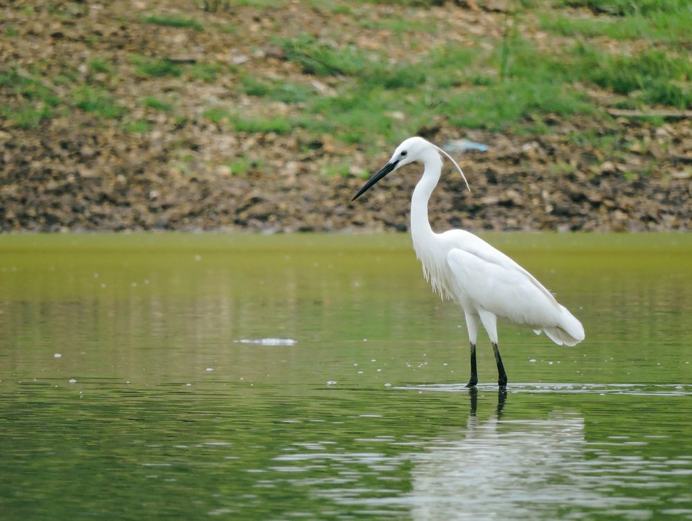 Photograph by Sayan Bhattacharya