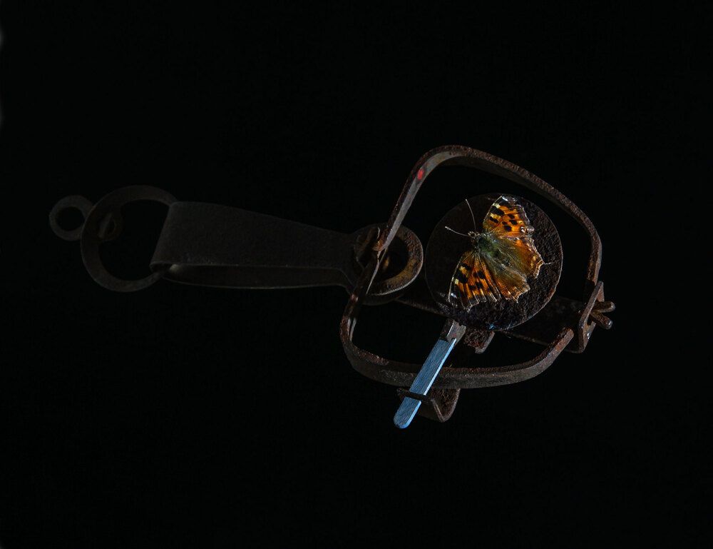 Photograph by Иванов Максим