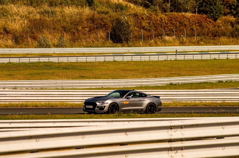 Фотография автора Михаил Михеев