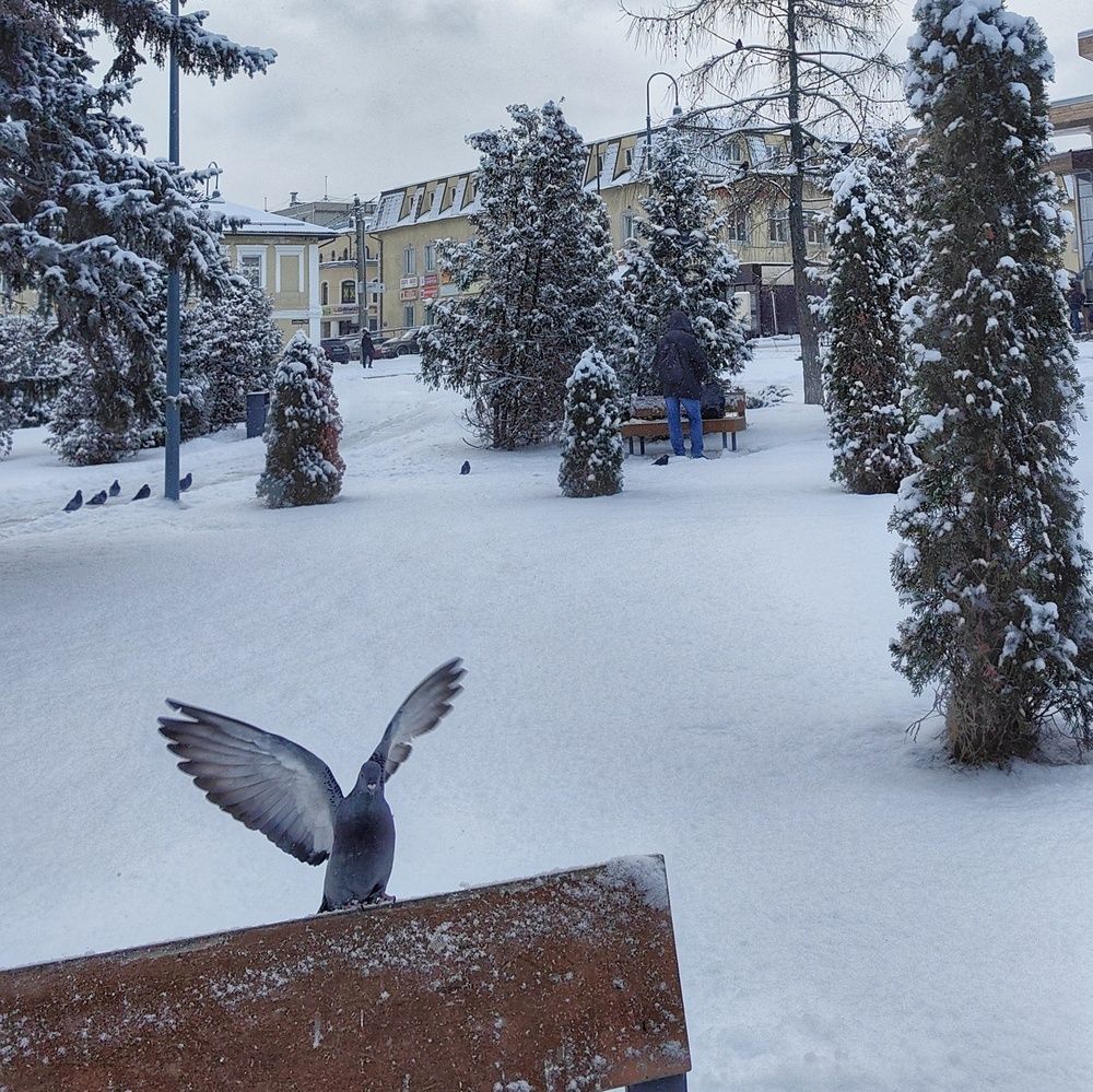 Photograph by Елена Алексеева