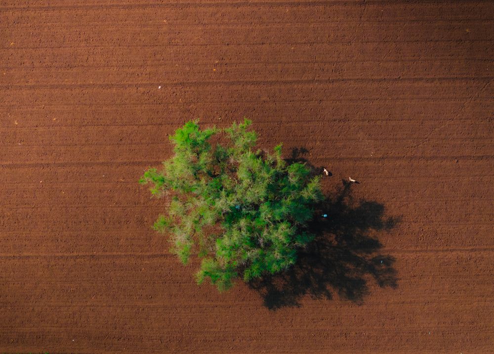 Photograph by Ashwin KV