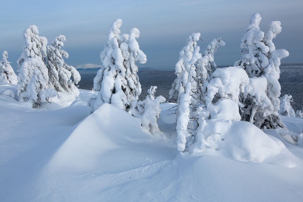 Photograph by Антон Селезнев