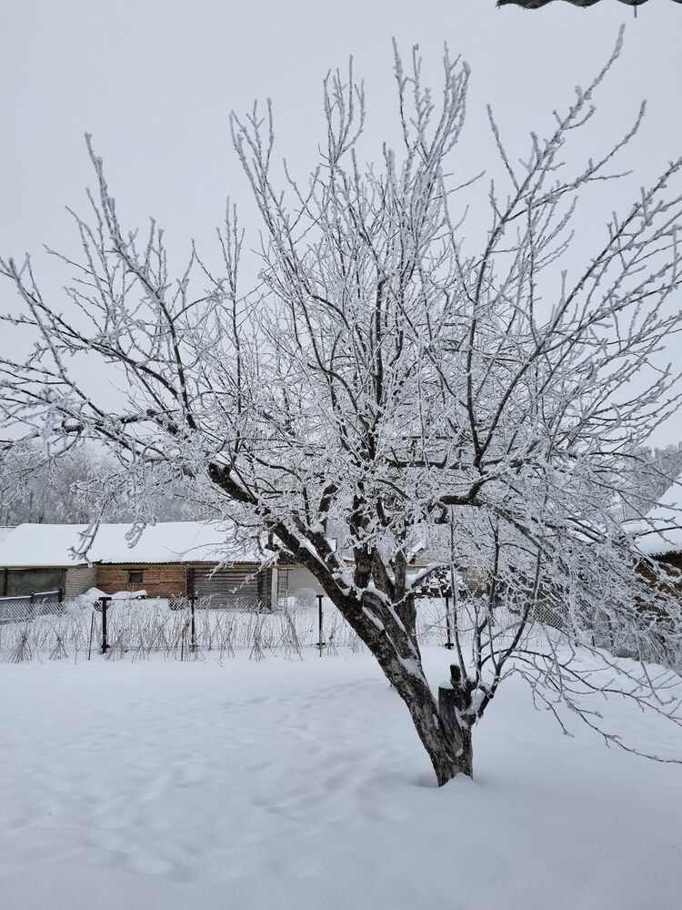 Фотография автора Наталья Агапова