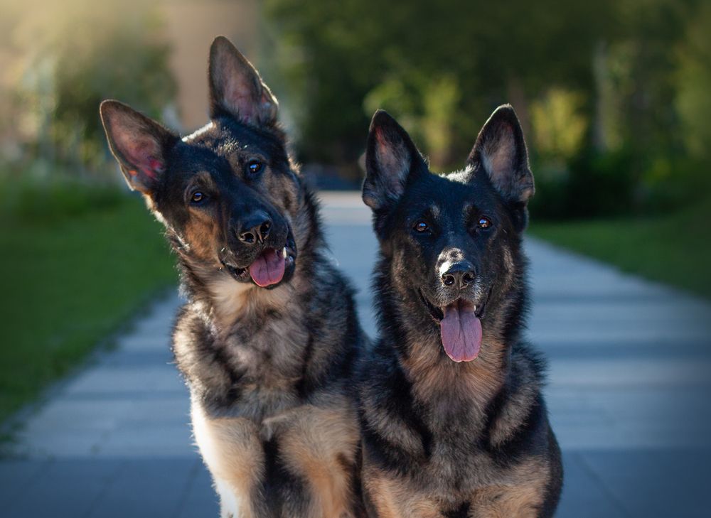 Photograph by Елена Иванова