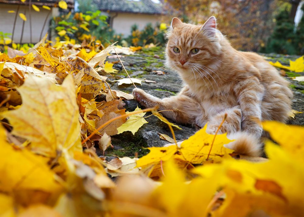 Photograph by Наталья Суслова