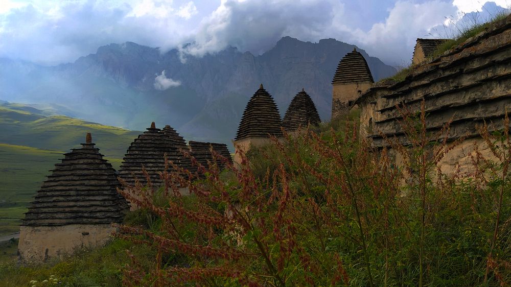 Photograph by Ольга Стоун