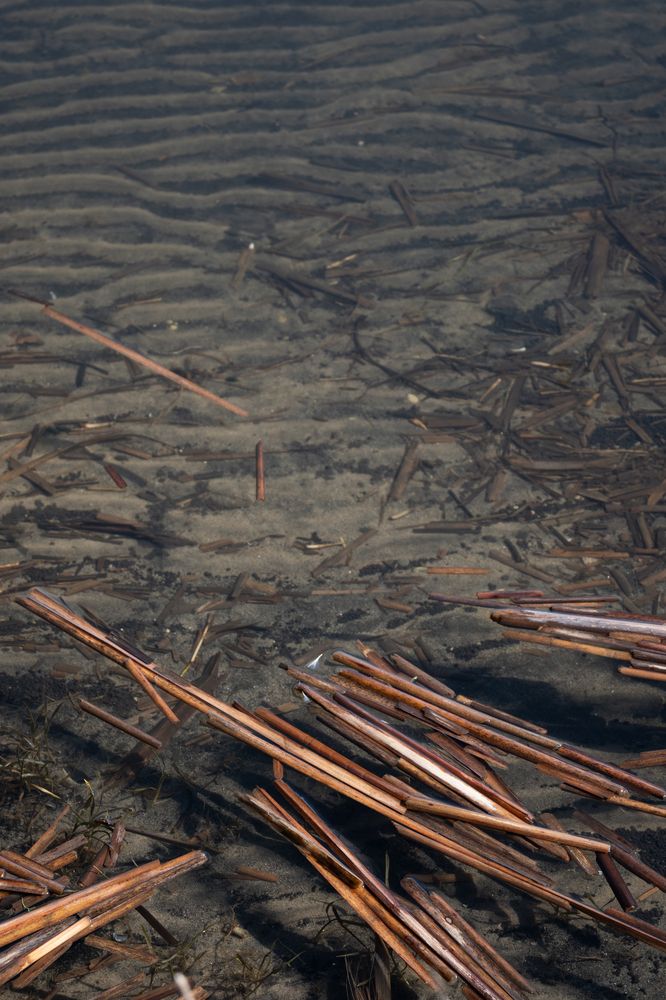 Photograph by Сергей Калинин