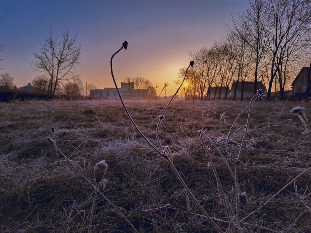 Фотография автора Anna Popova