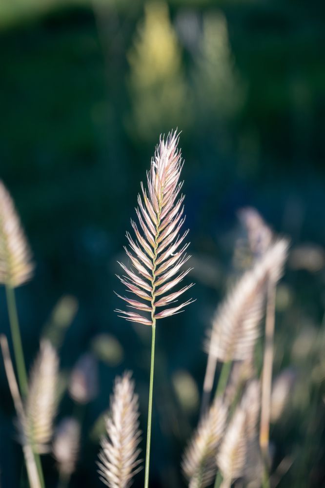 Photograph by Сергей Калинин