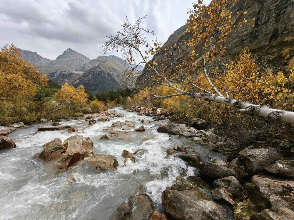 Photograph by Чкареули Светлана