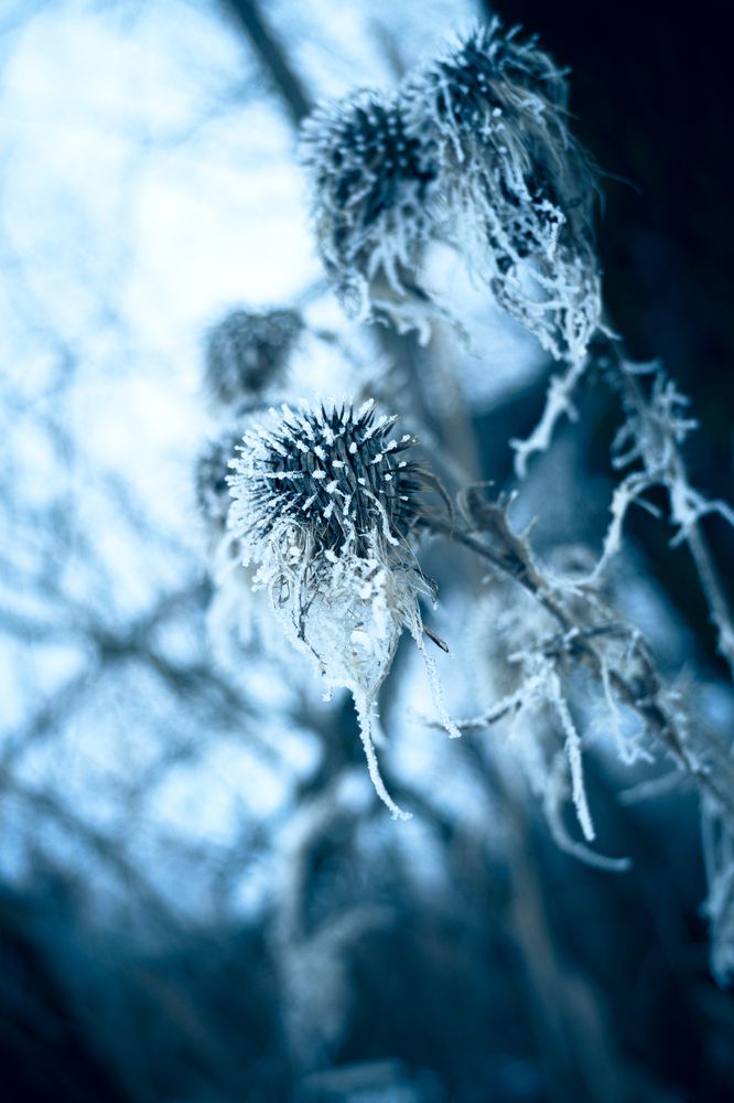 Photograph by Сергей Калинин