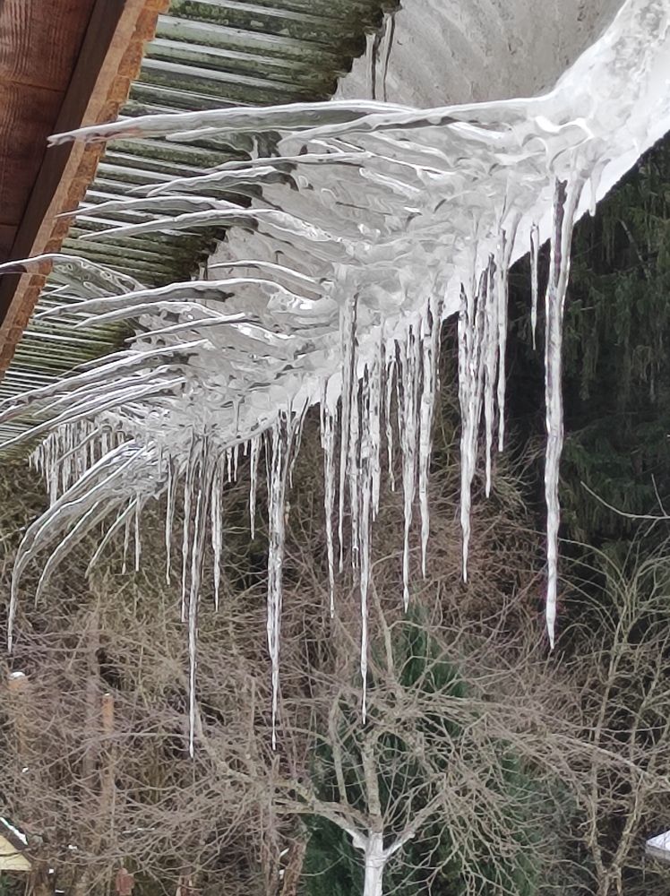 Фотография автора Рузинова Елена