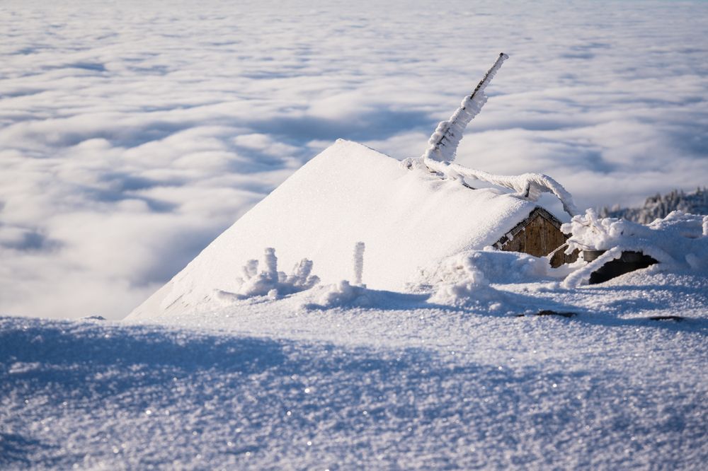 Фотография автора Erik