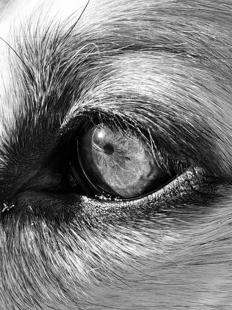 Photograph by Инна Мухина