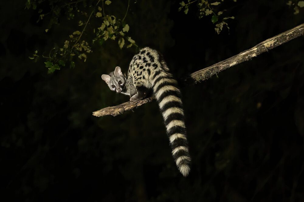 Photograph by Nikolay Stoyanov