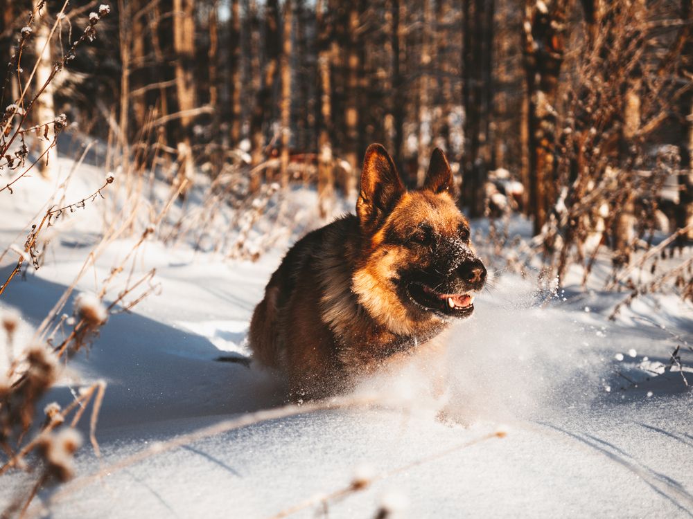 Photograph by Котов Артем